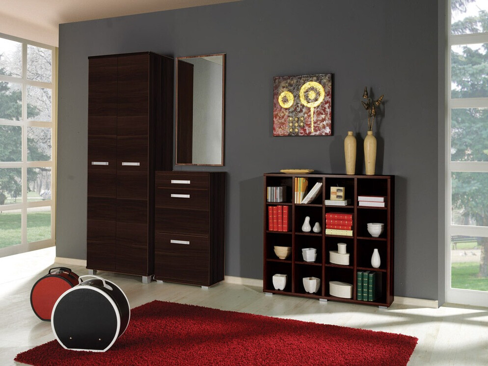 Armadio Cirevau 117 (Wenge)