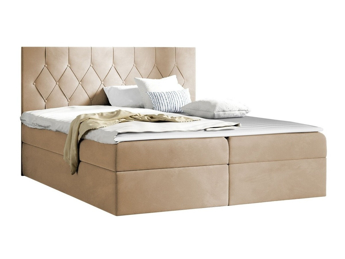 Letto continentale Hortulus (Mikrofaza 05)