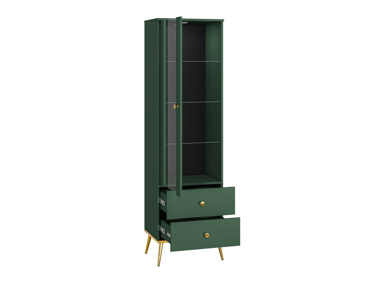 Parete attrezzata Flonovu 109 (Verde scuro + D'oro)