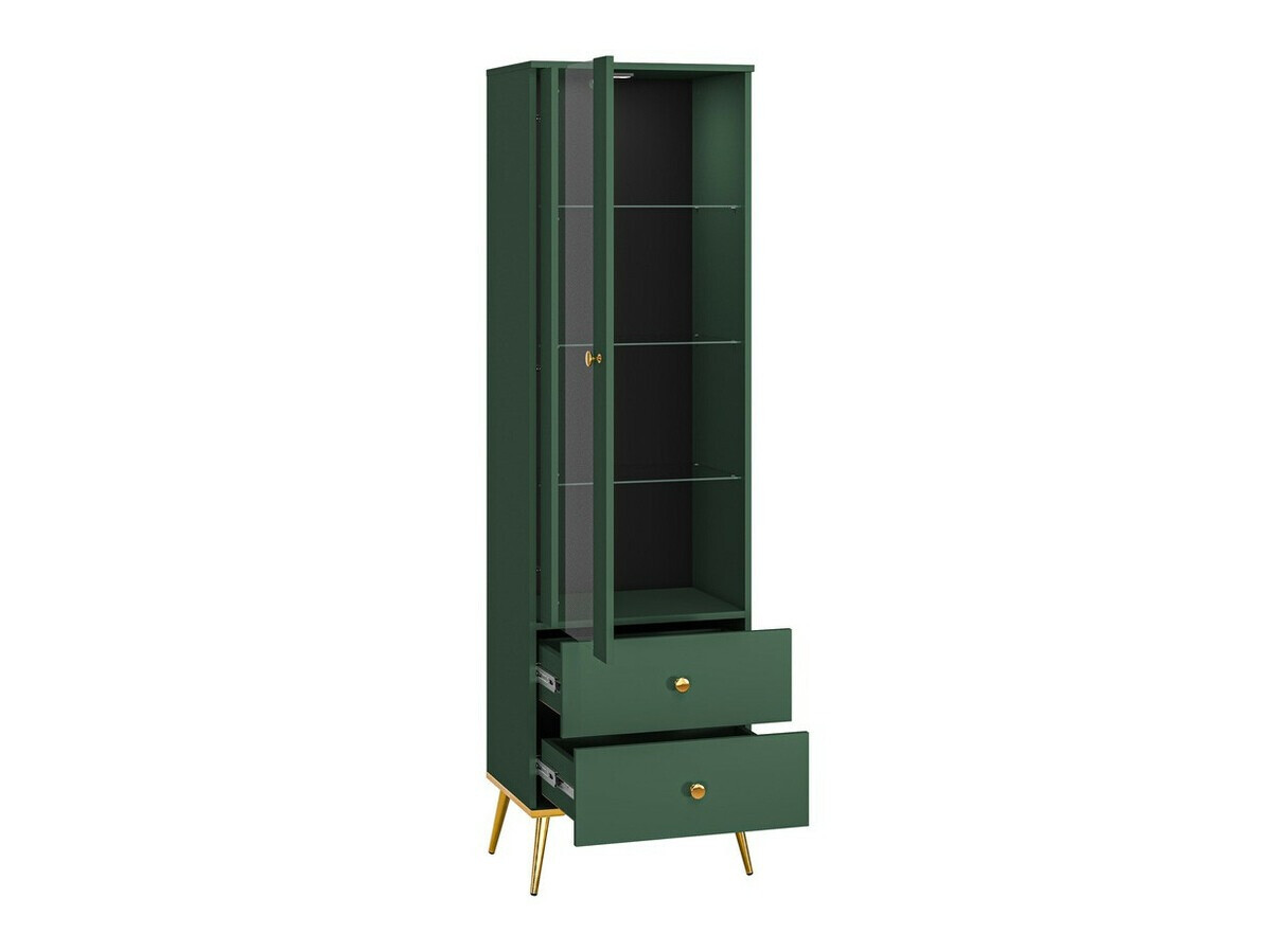 Parete attrezzata Flonovu 110 (Verde scuro + D'oro)