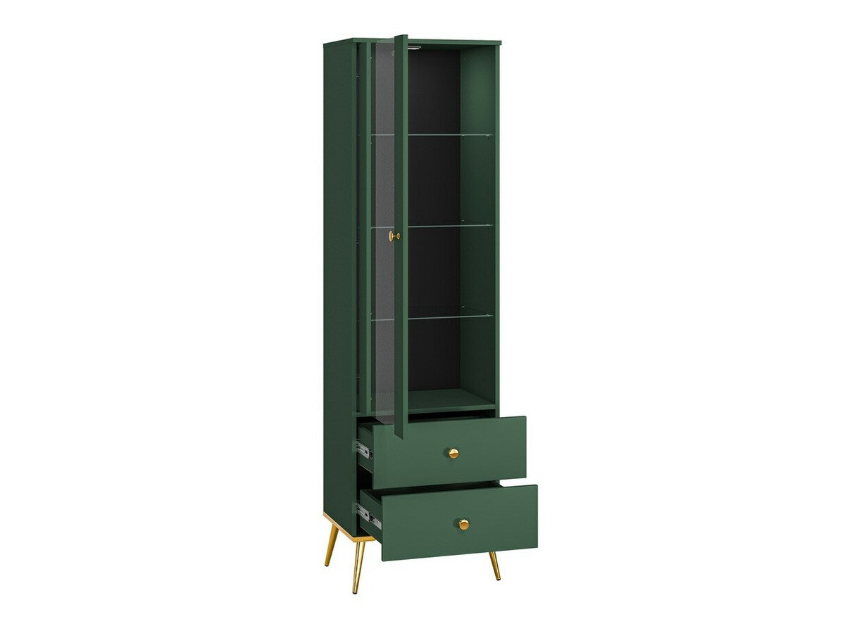 Parete attrezzata Flonovu 110 (Verde scuro + D'oro)