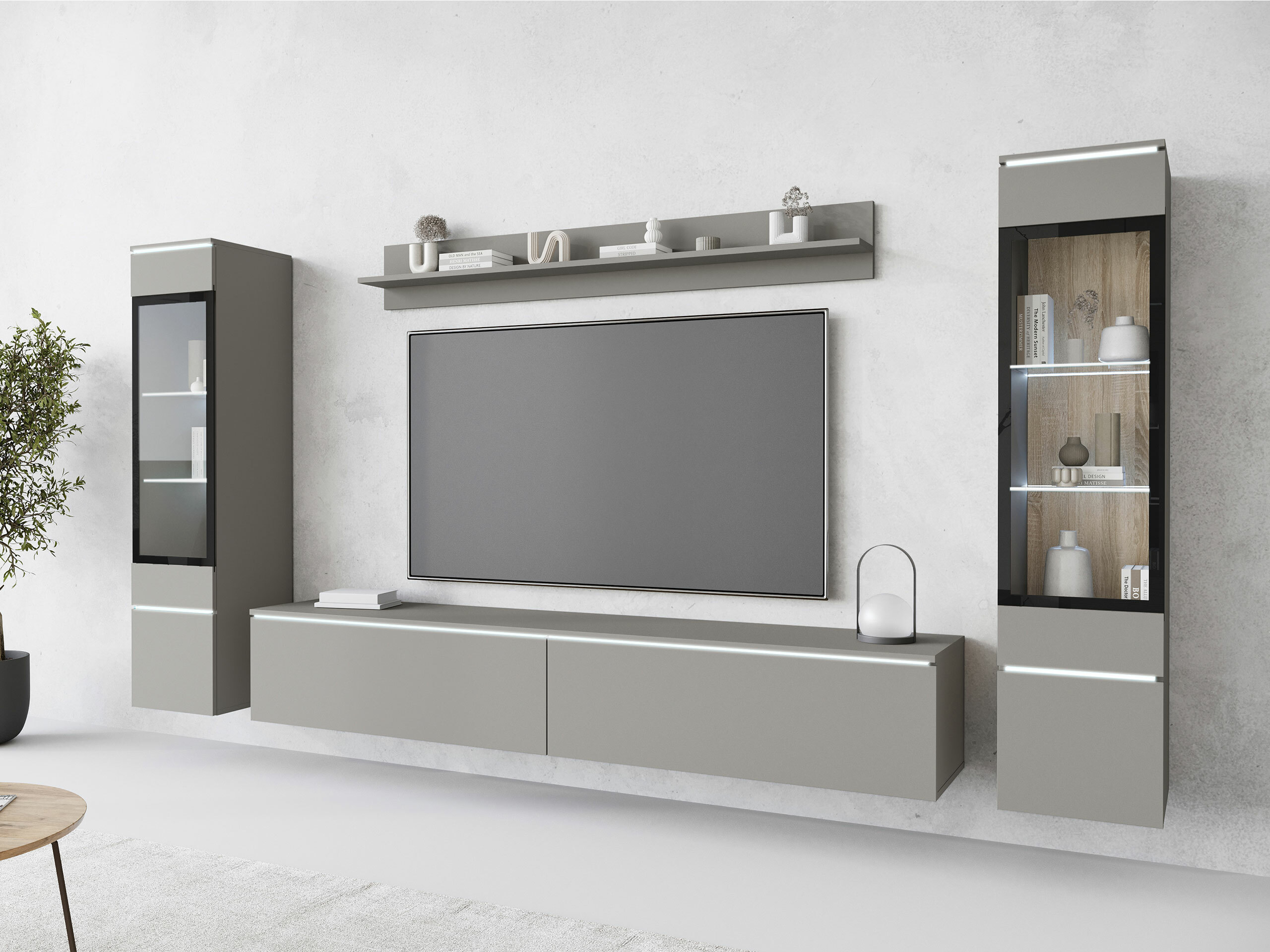 Parete attrezzata Mirfivo 101 (Grigio)