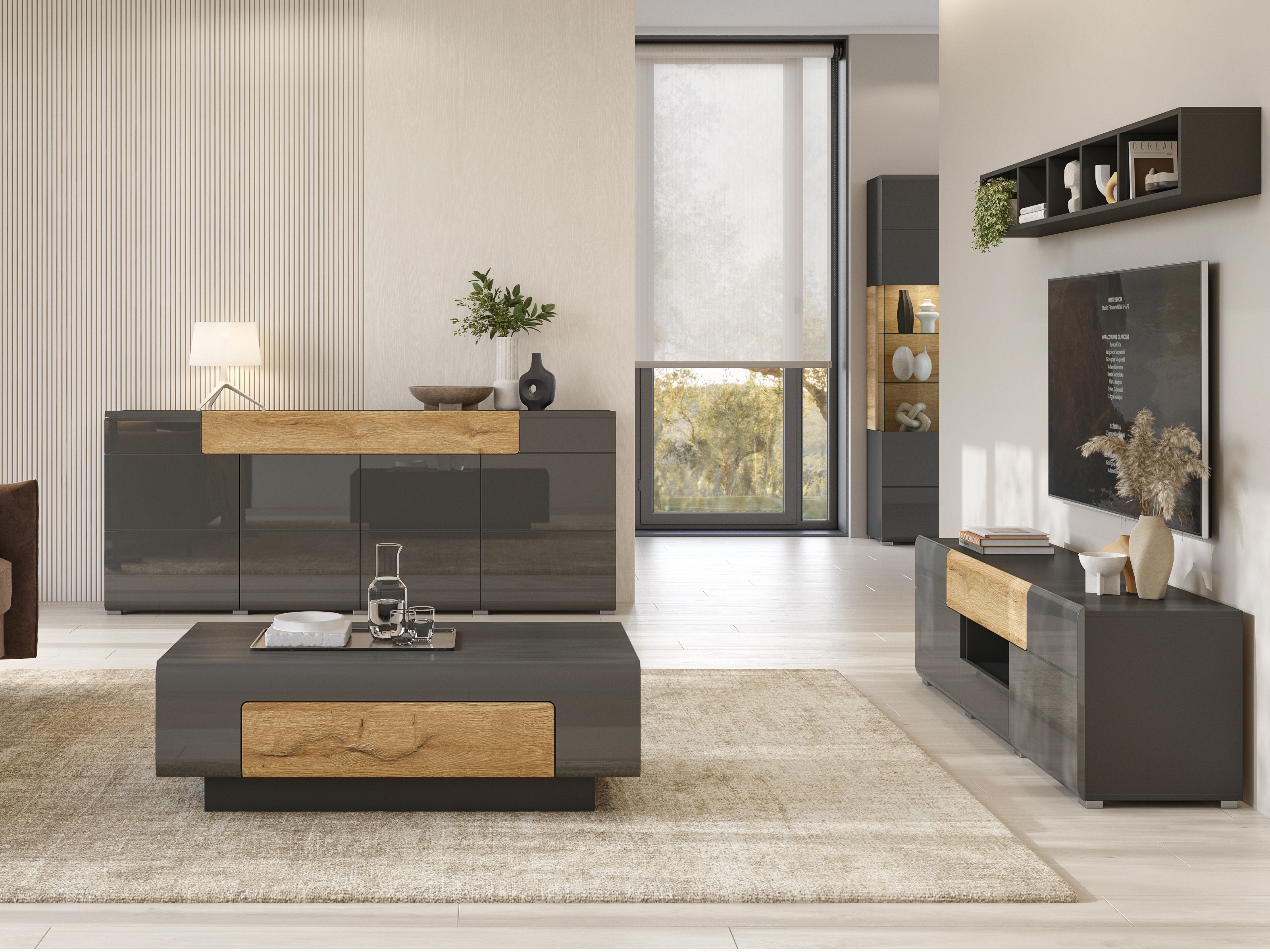 Mobile porta TV Torsone 101 (Antracite + Gloss antracite + Nipote di quercia)