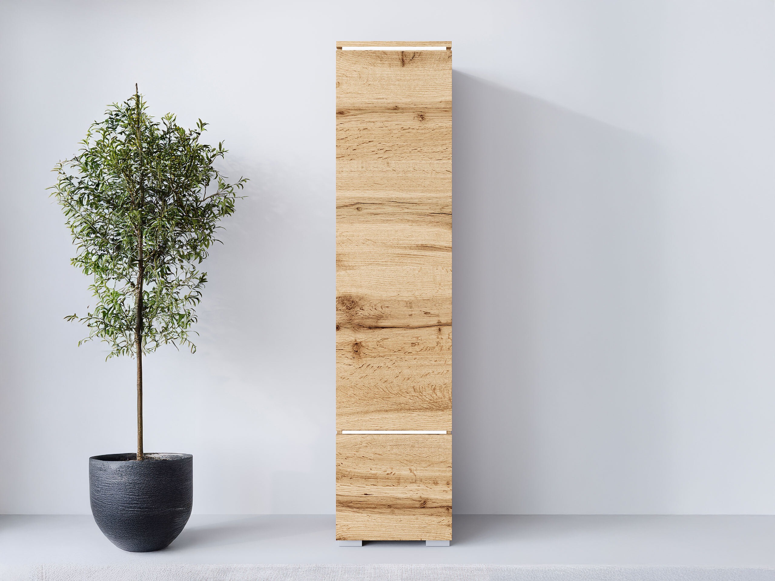 Scaffale Mirfivo 108 (Quercia di Wotan)