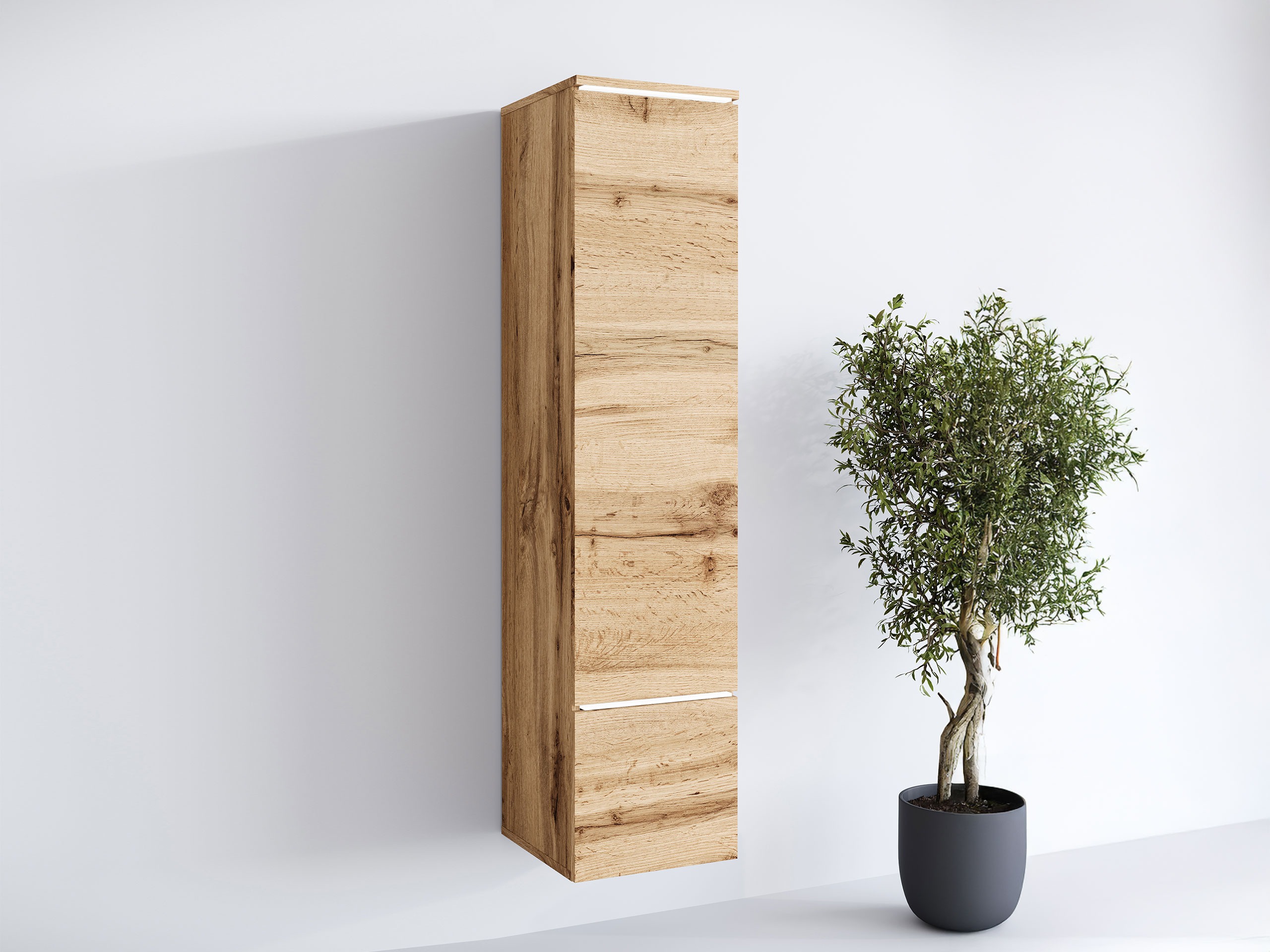 Scaffale Mirfivo 108 (Quercia di Wotan)