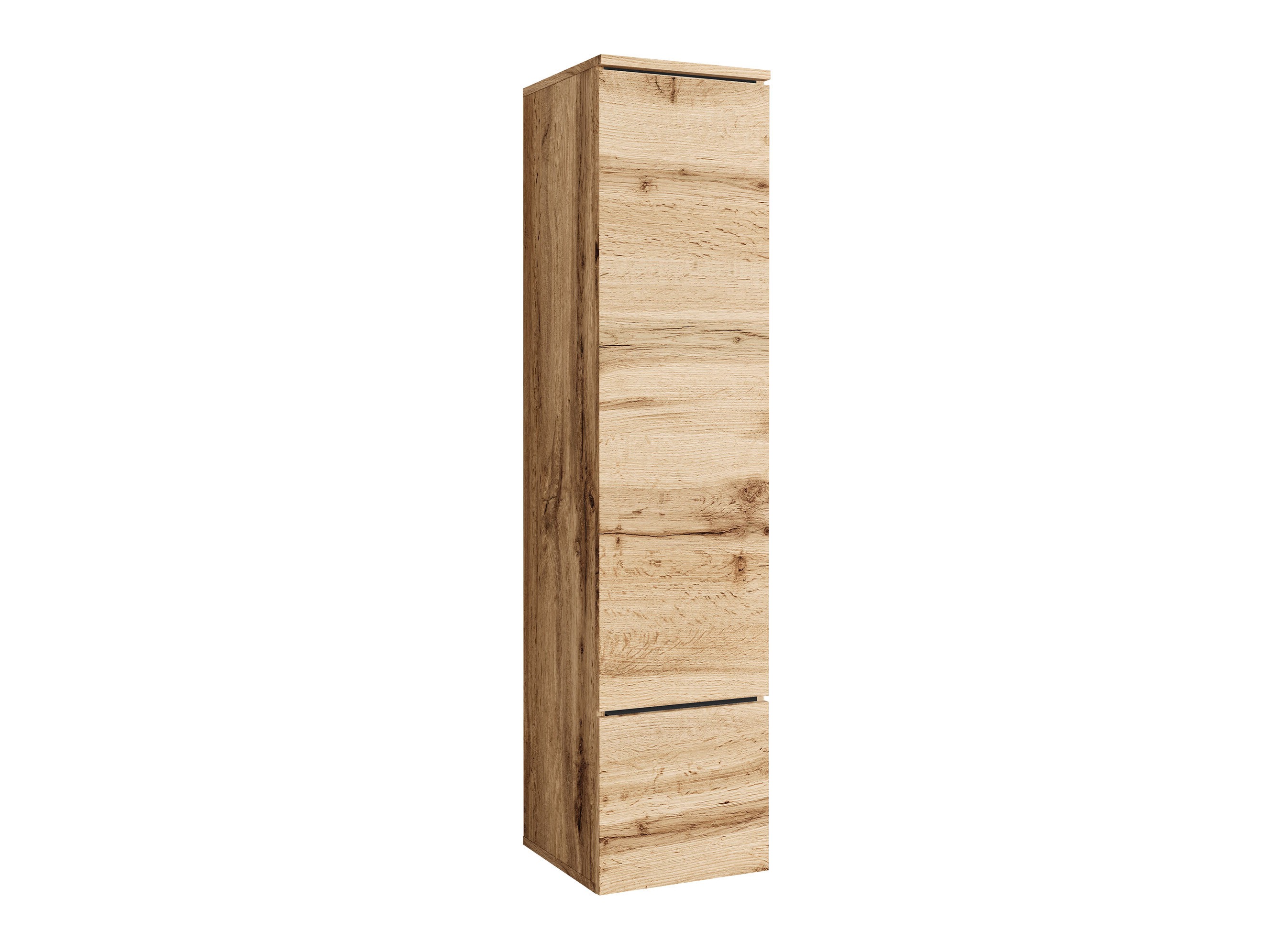 Scaffale Mirfivo 108 (Quercia di Wotan)