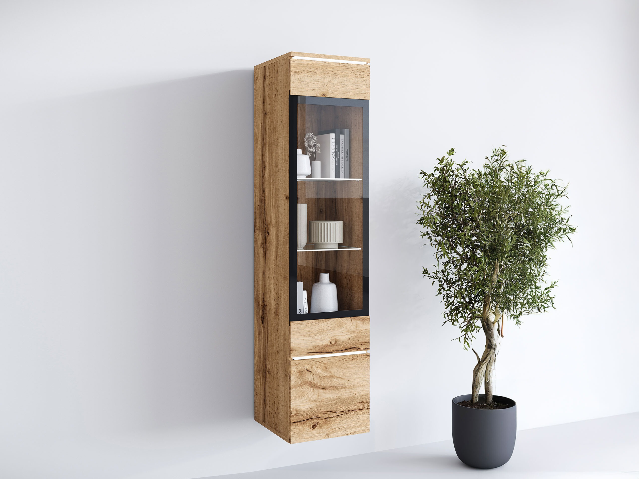 Scaffale Mirfivo 109 (Quercia di Wotan)