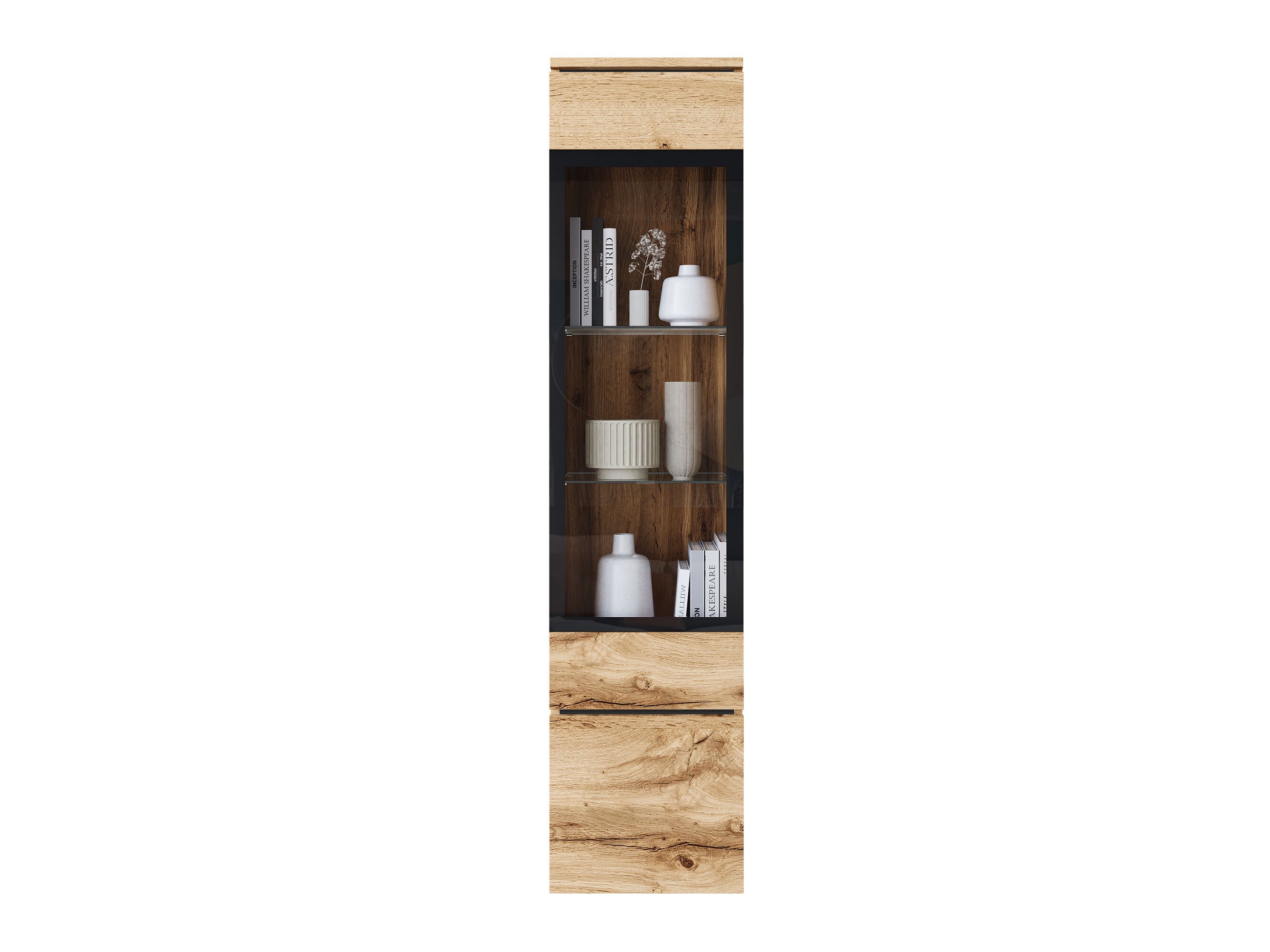Scaffale Mirfivo 109 (Quercia di Wotan)