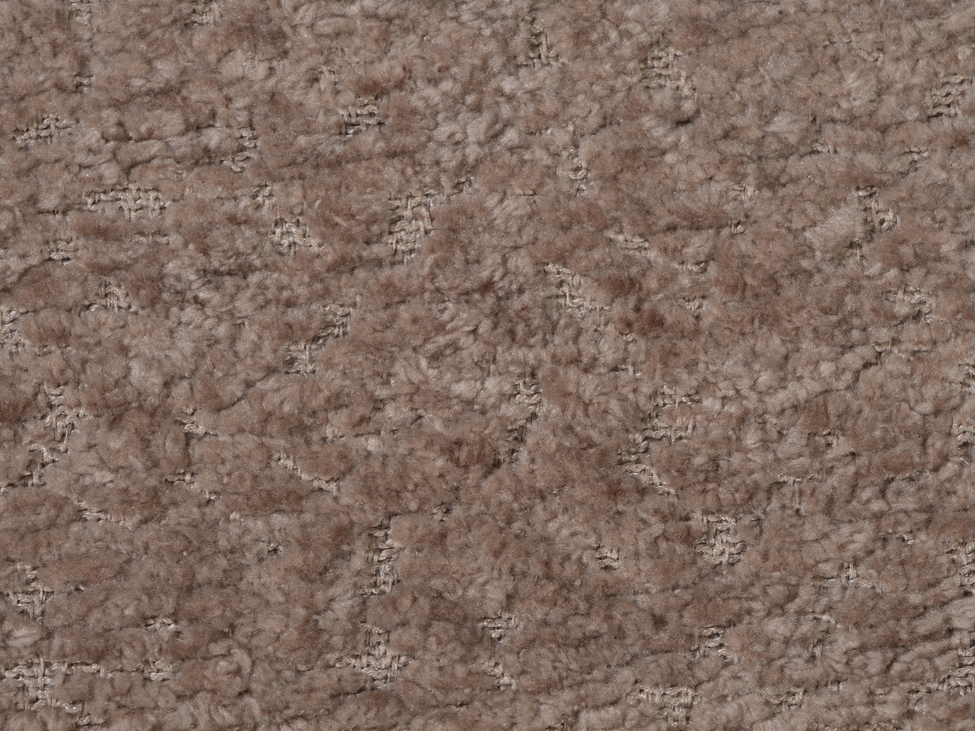 Divano letto TrendyNest Canora (Coral 45)
