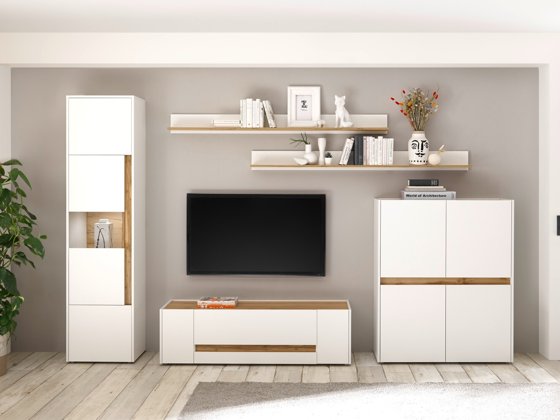 Madia SL5952